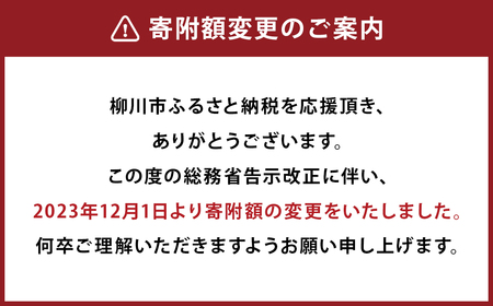 【受注生産】職人が一点一点丁寧に仕上げた力強い天然の木目が美しい収納棚。 サイド ボード 。HIRASHIMA VARIO Side Chest 042