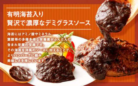 【3ヶ月定期便】 贅沢 デミグラスソース （有明海苔入り） ジューシー ハンバーグ 150g×20個 合計9kg 肉 湯せん 簡単調理 小分け 洋食 惣菜 レトルト 冷凍