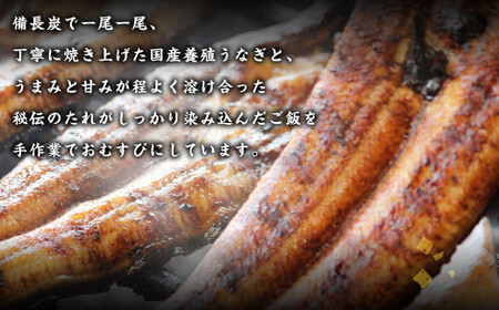 富貴のうなむすび 6個 合計630g（105g／1個 ）うなぎ 鰻