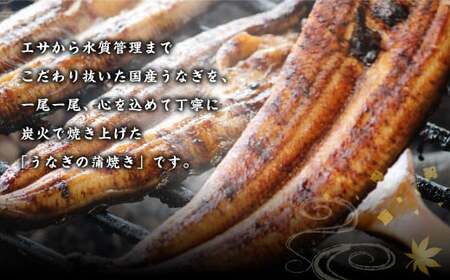 うなぎの蒲焼 2尾 うなぎ ウナギ 鰻 蒲焼 蒲焼き 国産 冷凍
