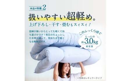 合繊 洗える かるふわ 敷き布団 固綿なし シングル （ アイボリー ベージュ ブラウン グレー） 布団 ふとん 敷布団 軽い ふかふか やわらか
