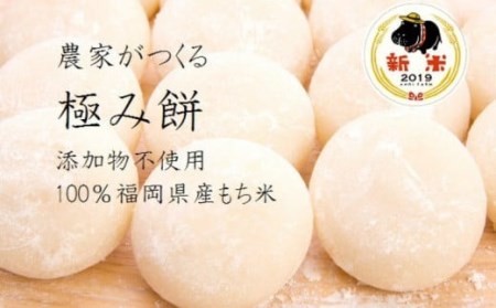 杏里ファームの極み餅 丸餅10個入り (約500g) ×5セット