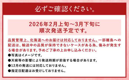 【先行予約】あまおう 等級DX 約1,120g 約280g×4 いちご 苺 果物 フルーツ【2026年2月上旬~3月下旬発送予定】