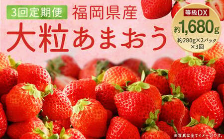 【3回定期便】【先行予約】あまおう 等級DX 約560g (約280g×2パック) いちご 苺 果物 フルーツ【2026年1月上旬~3月下旬迄順次発送予定】