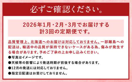 【3回定期便】【先行予約】あまおう 等級DX 約560g (約280g×2パック) いちご 苺 果物 フルーツ【2026年1月上旬~3月下旬迄順次発送予定】