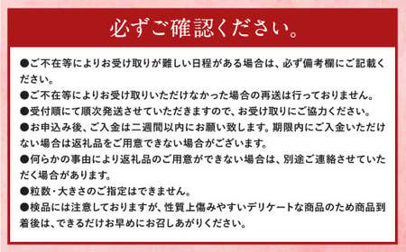 【3回定期便】【先行予約】あまおう 等級DX 約560g (約280g×2パック) いちご 苺 果物 フルーツ【2026年1月上旬~3月下旬迄順次発送予定】