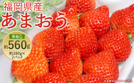 【先行予約】あまおう 等級G 約280g×2パック 計約560g いちご 苺 果物 フルーツ 【2026年2月上旬～2026年3月下旬発送予定】