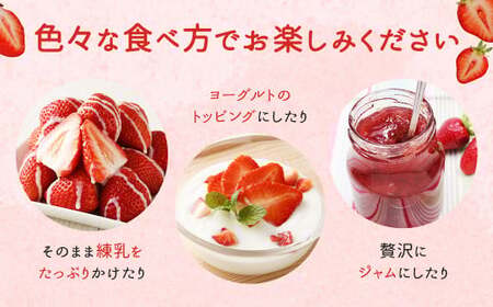 【先行予約】あまおう 等級G 約280g×4 計約1,120g いちご 苺 果物 フルーツ 【2026年2月上旬～2026年3月下旬発送予定】