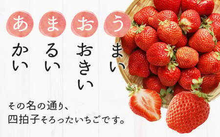 【先行予約】あまおう 等級G 約280g×4 計約1,120g いちご 苺 果物 フルーツ 【2026年2月上旬～2026年3月下旬発送予定】