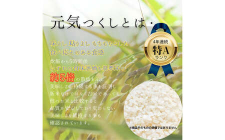【柳川のお米】 令和7年産 元気つくし 10kg と 麦茶 16パック【2025年12月上旬から順次発送予定】 白米 お茶 パック セット 福岡県 柳川市