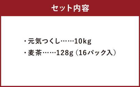 【柳川のお米】 令和7年産 元気つくし 10kg と 麦茶 16パック【2025年12月上旬から順次発送予定】 白米 お茶 パック セット 福岡県 柳川市
