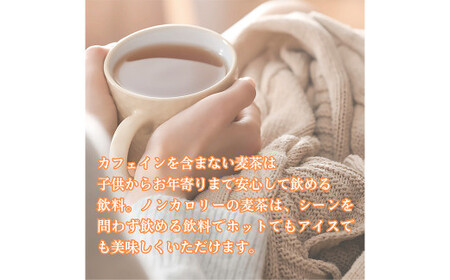 【柳川のお米】 令和7年産 元気つくし 10kg と 麦茶 16パック【2025年12月上旬から順次発送予定】 白米 お茶 パック セット 福岡県 柳川市