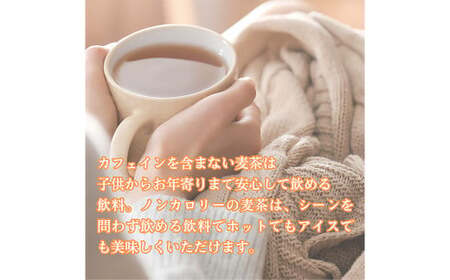 【柳川のお米】 令和7年産 ヒノヒカリ 10kg と 麦茶 16パック セット 【2025年12月上旬から順次発送予定】 白米 お茶 パック福岡県 柳川市