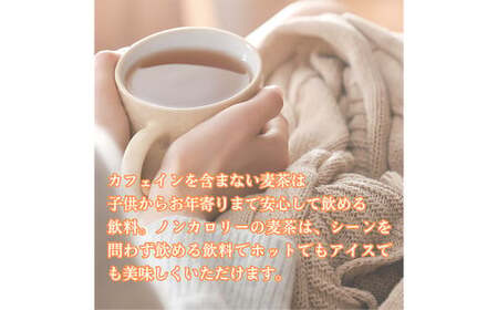 【柳川のお米】令和7年産 元気つくし 4kg タカラの味わい 麦茶 52パック セット 【2025年12月上旬から順次発送予定】 米 白米 ご飯 お茶 パック 水出し