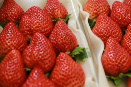 【いちごの王様】リピーター続出!大粒あまおう(デラックス)約280g × 4パック◆2021年1月~発送開始◆