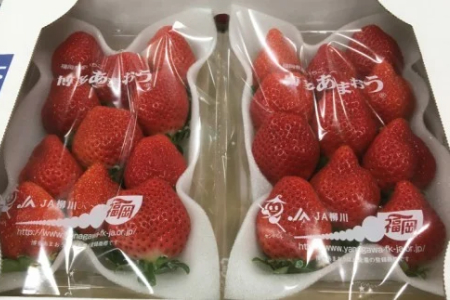 【いちごの王様】リピーター続出!大粒あまおう約280g × 4パック◆2021年1月~発送開始分◆