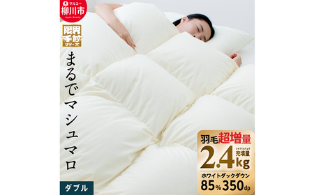 羽毛布団 ダブル 190cm×210cm 超超増量 2.4kg 本掛け 冬用 日本製 福岡県 柳川市【限界手前シリーズ】