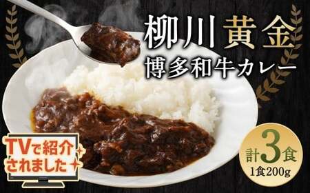 柳川黄金博多和牛カレー 3食分（200g）×3箱【TVで話題!!】 柳川 黄金 博多 和牛 カレー お肉 肉 牛肉 カレーライス ルー 黄金カレー 国産 200g 3箱