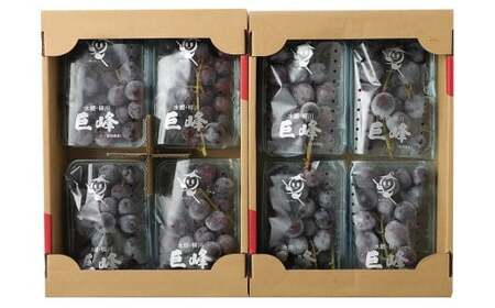 巨峰 300g×4パック 合計約1.2kg ぶどう ブドウ 葡萄 グレープ フルーツ 果物 果実 福岡県 柳川市 国産 【2026年8月下旬～9月上旬迄発送予定】
