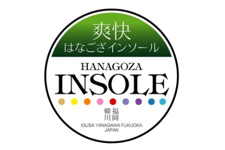 花ござ インソール 3足分 8サイズ対応 9色 国産 い草 使用