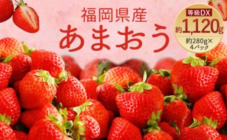あまおう 等級DX 約1120g 約280g×4 いちご 果物 フルーツ【2023年1月上旬より順次発送】