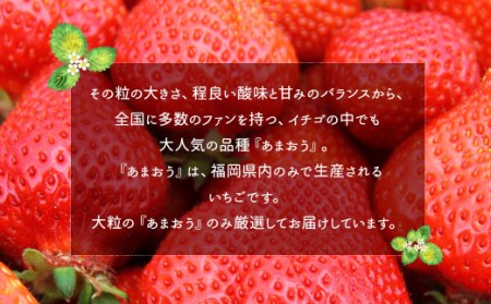 2024年2月上旬より順次発送】【先行予約】あまおう 等級DX 約1,120g 約