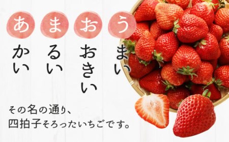 2024年2月上旬より順次発送】【先行予約】あまおう 等級DX 約1,120g 約