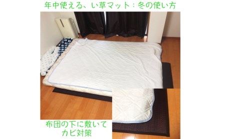 畳 マットレス 95cm×200cm 超ふっくら仕上げ 選べる10色 い草 寝具