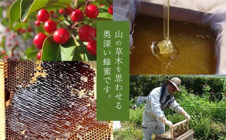 【全3回】 定期便 かの蜂 国産 もち蜂蜜 合計3kg(とんがり容器1kgを毎月1本お届け) 024-T017