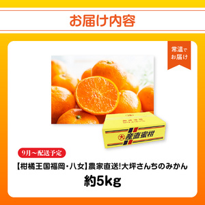 【9月上旬~2月下旬配送予定】【柑橘王国福岡・八女】農家直送!大坪さんちのみかん みかん 立花町 大坪農園 農産直売所 安心安全 肥料配合 福岡県 八女 171-001