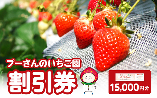 プーさんのいちご園　割引券（15,000円分） 【レターパック】 イチゴ狩り あまおう 恋みのり 紅ほっぺ さがほのか かおり野 おいCベリー あまえくぼ よつぼし 高設栽培 多段式 バリアフリー 車椅子 子供 品種 完熟 摘みたて 新鮮 家族 清潔 福岡県 八女市 090-008