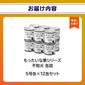 【訳あり】もったいな果シリーズ 不知火 缶詰 5号缶×12缶 セット 007-026