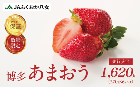 【2026年2月発送開始】博多あまおうＧ約270g×6パック｜ＪＡふくおか八女 あまおう いちご 苺 イチゴ フルーツ 果物 くだもの 人気  旬 福岡県産 大粒 アフター補償 数量限定 期間限定 産地直送 グランデ 福岡県 八女市 002-020