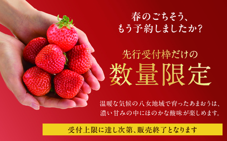 【2026年2月発送開始】博多あまおうＧ約270g×6パック｜ＪＡふくおか八女 あまおう いちご 苺 イチゴ フルーツ 果物 くだもの 人気  旬 福岡県産 大粒 アフター補償 数量限定 期間限定 産地直送 グランデ 福岡県 八女市 002-020