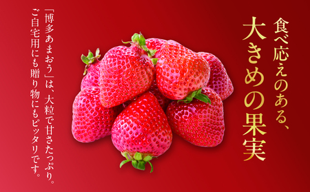 【2026年2月発送開始】博多あまおうＧ約270g×6パック｜ＪＡふくおか八女 あまおう いちご 苺 イチゴ フルーツ 果物 くだもの 人気  旬 福岡県産 大粒 アフター補償 数量限定 期間限定 産地直送 グランデ 福岡県 八女市 002-020