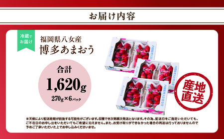 【2026年2月発送開始】博多あまおうＧ約270g×6パック｜ＪＡふくおか八女 あまおう いちご 苺 イチゴ フルーツ 果物 くだもの 人気  旬 福岡県産 大粒 アフター補償 数量限定 期間限定 産地直送 グランデ 福岡県 八女市 002-020