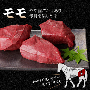 国産 馬刺し 赤身 たれ付き 【モモ】 《福岡肥育》 100g×3 【冷蔵】 176-011