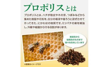 プロポリス入りはちみつ 160g 183-006