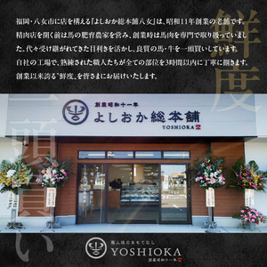 国産 馬刺し 赤身 たれ付き【ロース】 《福岡肥育》 600g 【冷蔵】 176-028