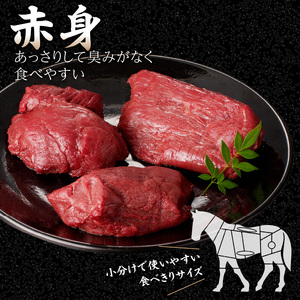 国産 馬刺し 赤身 たれ付き 【赤身】 《福岡肥育》 600g 【冷蔵】 176-032