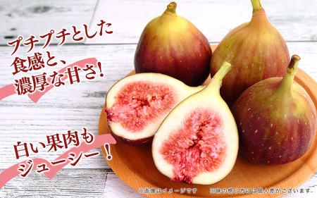 【先行受付】【2026年9月～10月頃順次発送】福岡県オリジナル品種 高糖度プレミアムいちじく 「とよみつひめ」約1.2kg 072-195