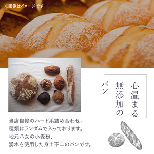 パンの詰め合わせ 【10個入】 ～Olivier Rain(オリビエレイン)～ ハードパン セット 詰め合わせ 国産 こだわり お取り寄せ 湧水 身土不二 天然酵母 冷凍 八女 191-001