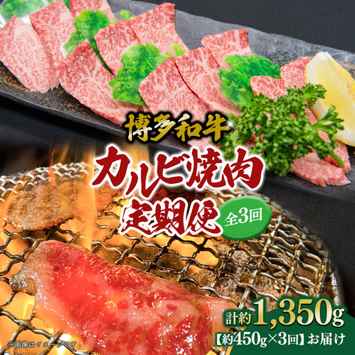博多和牛 カルビ焼肉（バラ）定期便全3回 肉 お肉 博多和牛 和牛 牛肉 カルビ バラ 国産 2～3人前 冷凍 冷凍配送 使い切りサイズ 霜降り 絶品 濃厚 柔らかい ジューシー 家族団らん カルビ丼 焼肉 バーベキュー BBQ 福岡県 八女市 072-T108