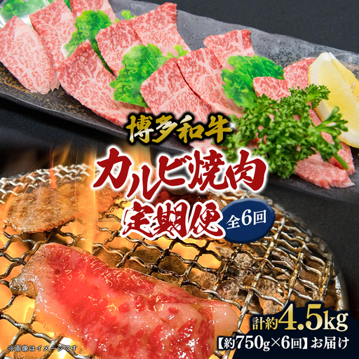 博多和牛 カルビ焼肉（バラ）定期便全6回 肉 お肉 焼肉 牛 牛肉 和牛 バーベキュー BBQ 焼肉 072-T110