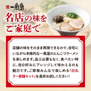 一風堂白丸ラー麦麺セット（8食） ラーメン 麺 濃厚 豚骨 とんこつ 福岡 八女 博多 博多一風堂 072-305