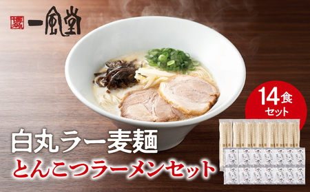 一風堂白丸ラー麦麺セット（14食） ラーメン とんこつ 豚骨 豚骨スープ ストレート麺 ラー麦 本格 福岡 ご当地 お取り寄せ  072-327