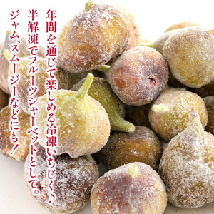冷凍とよみつひめ(いちじく)約2kg いちじく とよみつひめ 冷凍 1kg 2袋 小分け クール便 冷凍配送 デザート シャーベット スムージー ジャム パン お菓子作り アレンジ デザート フルーツ 福岡県 八女市 072-308