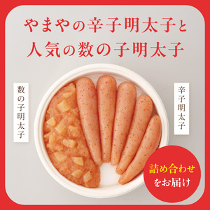 やまや 明太子・数の子明太子セット 明太子 めんたいこ やまや 数の子 ご飯のお供 おつまみ セット 福岡県 八女市 198-013
