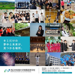 国産百花蜂蜜1kg（500gとんがり容器×2本）【ふるさと愛プロジェクト】 ハチミツ 非加熱 純粋はちみつ ハニー 福岡県 八女市 保存食 防災グッズ 非常食 ボトル 024-FP