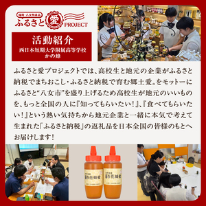 国産百花蜂蜜1kg（500gとんがり容器×2本）【ふるさと愛プロジェクト】 ハチミツ 非加熱 純粋はちみつ ハニー 福岡県 八女市 保存食 防災グッズ 非常食 ボトル 024-FP